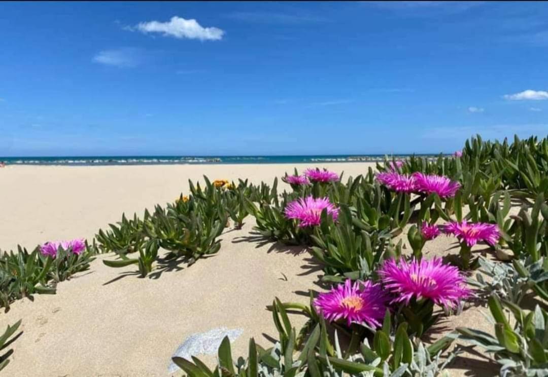 Marea Il Tuo Angolo Di Paradiso In Sicilia Ti Aspetta Prenota Ora E Vivi La Magia Del Mediterraneo Алькамо-Марина Экстерьер фото